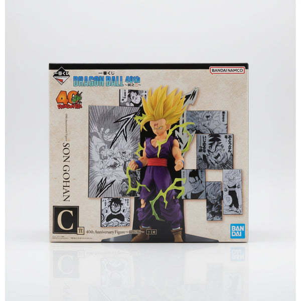 Son Gohan Dragon Ball 40th Anniversary
