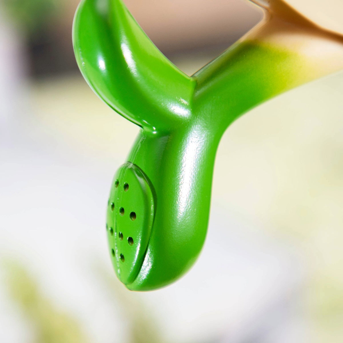Little Totoro's Joro